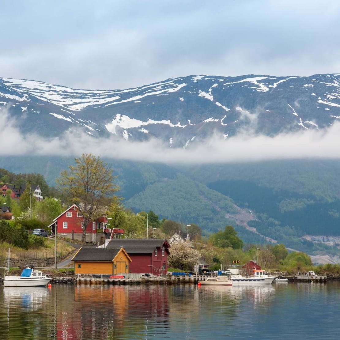 tours from amsterdam to norway